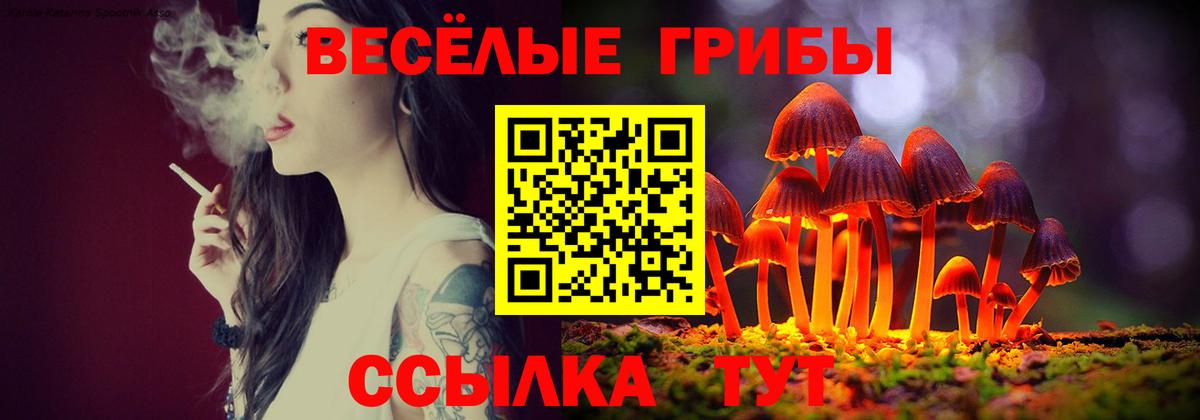 как найти   Псилоцибиновые грибы GOLDEN TEACHER  Вход с VPN  Полысаево 